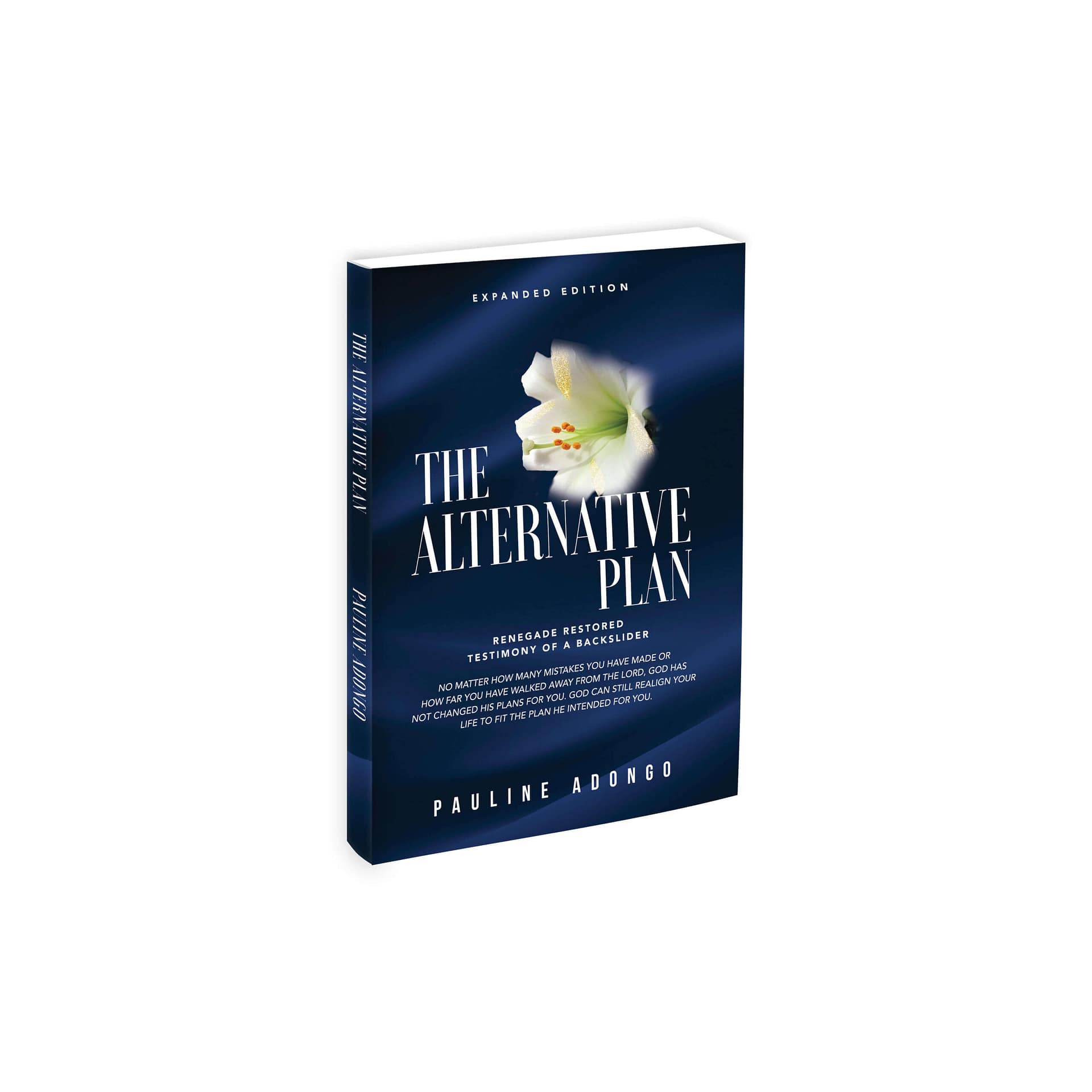 The Alternative Plan – Pauline Adongo